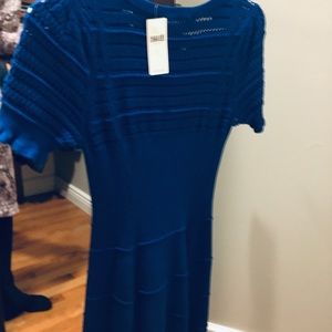 Anthropologie New Dress Blue